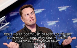 Elon Musk: 'SpaceX và Tesla là những ý tưởng kinh doanh ngớ ngẩn nhất’