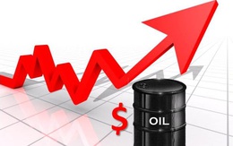 Giá dầu mỏ năm 2021 tăng mạnh nhất kể từ 2009