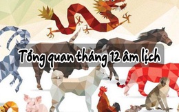 Tổng quan tháng 12 âm lịch của 12 con giáp: Dần, Ngọ nên hạn chế tiêu pha, Dậu tiền về rủng rỉnh