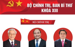 Chi tiết danh sách các Ủy viên Bộ Chính trị, Ban Bí thư khóa XIII