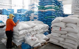 Xuất khẩu gạo của Campuchia giảm hơn 32% trong tháng 1/2021