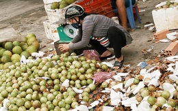 Sài Gòn chiều 30 Tết trái cây xổ đầy đường nhiều hơn cả hoa, người bán buồn thiu than vãn: Rẻ như cho mà không ai mua con ơi!