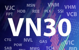 Lợi nhuận nhóm VN30 vẫn tăng trưởng dương trong năm Covid thứ nhất