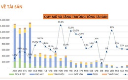 Toàn cảnh ngân hàng 2020 (kỳ 1): Tăng trưởng tổng tài sản giảm nhẹ so với cùng kỳ 2019