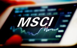 Tập đoàn Cao su Việt Nam (GVR) lọt rổ MSCI Frontier Markets Index trong kỳ review quý 1/2021