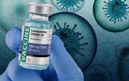 Vắc-xin chống Covid-19 được chế tạo như thế nào, quy trình phức tạp ra sao?