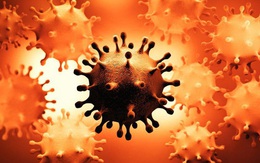 Nóng: Hai biến thể COVID-19 hợp nhất thành một virus lai đột biến nặng - Lo ngại về 1 giai đoạn mới của đại dịch