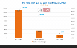 Tăng trưởng kinh tế chậm khiến thu ngân sách tháng đầu năm giảm gần 20%