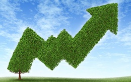 Phục hồi kinh tế xanh – không còn là khẩu hiệu