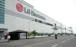 Các nhà máy của LG tại Việt Nam đạt doanh thu gần 5 tỷ USD sau 9 tháng, vượt cả năm 2019