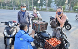 "Giải cứu" hàng ngàn tấn nông, thủy sản của Hải Dương, Quảng Ninh