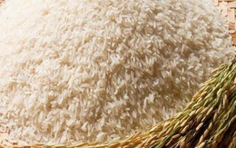 Giá lúa cao làm giảm một nửa xuất khẩu gạo