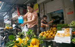 Hàng bưởi Diễn da vàng óng có từng búi hoa tươi trở thành món hàng siêu độc trên chợ nhà giàu Hà Nội, tận 100k/quả, bà chủ thu cả chục triệu mỗi ngày!