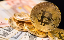 Bitcoin bị bán mạnh, có tuần giảm mạnh nhất gần 1 năm