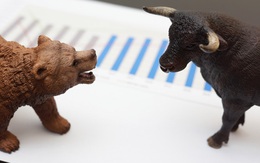 Nhà đầu tư chưa muốn “nghỉ tết”, VN-Index bứt phá gần 15 điểm trong phiên cuối tuần