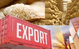 Giá gạo tăng mạnh trên toàn thế giới
