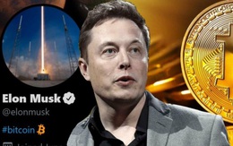 Tesla bất ngờ thông báo mua 1,5 tỷ USD Bitcoin và sẽ chấp nhận sử dụng đồng tiền này để thanh toán