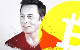 "Đánh bạc" với Bitcoin, Elon Musk là gã điên hay kẻ "nhìn xa nghìn cây số"?