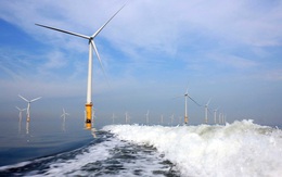 Điện gió ngoài khơi trong dự thảo Quy hoạch điện VIII chỉ chiếm 1,45-2% tổng công suất điện, các tổ chức quốc tế nói gì?