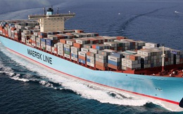 Cục Hàng hải kiểm tra giá vận chuyển container của 11 hãng tàu ngoại