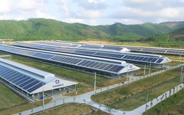 Đầu tư hệ thống điện mặt trời tại toàn bộ các trang trại, Vinamilk đẩy mạnh năng lượng bền vững