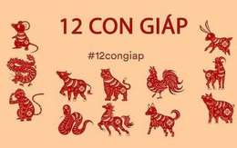 Trong tháng 3 năm 2021, có 4 con giáp tài lộc vẹn toàn, tiền bạc rủng rỉnh, cơ hội làm giàu trong tầm tay