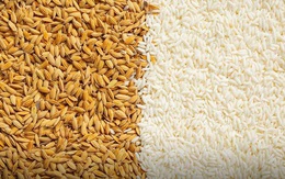 Giá gạo Việt Nam và Ấn Độ tuần này tăng mạnh