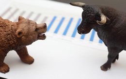 Cổ phiếu thép, phân bón “dậy sóng”, VN-Index gặp khó trước ngưỡng 1.200 điểm