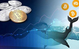 Các nhà đầu tư "cá mập" Bitcoin có khả năng thao túng thị trường thế nào?