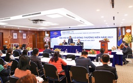 ĐHCĐ Vinaconex ITC: Ông Đào Ngọc Thanh giữ chức Chủ tịch HĐQT, Vinaconex sẽ cùng ITC phát triển dự án Cát Bà Amatina