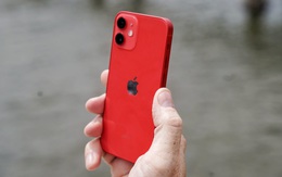 Mẫu iPhone 12 rẻ nhất về giá ngang iPhone 11 tại Việt Nam