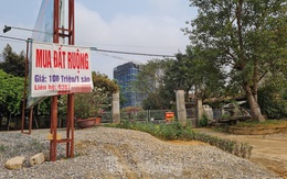 Đủ chiêu trò bán đất rừng, đất ruộng... trong cơn sốt đất quay cuồng