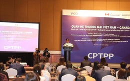 Kim ngạch thương mại song phương Việt Nam-Canada đạt kỷ lục