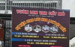 "Các giao dịch lan đột biến tiền tỷ đều là ảo hoặc sang tay nên khó thu thuế"