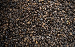 Thị trường cà phê thế giới đối mặt với nguy cơ thiếu hụt nguồn cung nghiêm trọng