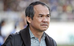 HAGL đã bán 75 triệu cổ phiếu HNG, giảm sở hữu tại HAGL Agrico xuống dưới 30%