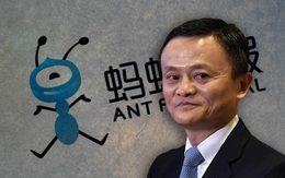 Buồn của Jack Ma: Rơi khỏi vị trí người giàu nhất Trung Quốc, thậm chí còn không lọt top 3