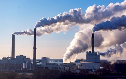 Forbes: Việt Nam đang ở đâu trong làn sóng 'xoá' điện than trên toàn cầu?