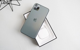iPhone 11 Pro, Pro Max "tuyệt chủng" trên thị trường chính ngạch tại Việt Nam