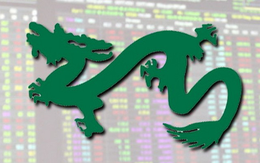 Quỹ lớn nhất do Dragon Capital quản lý đẩy mạnh giải ngân trong tuần giao dịch cuối tháng 2