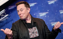 Elon Musk: "Đại học cơ bản chỉ để cho vui chứ không phải để học"