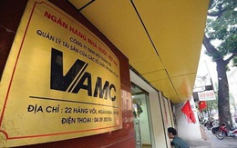 VAMC tính mua khoản nợ hơn 245 tỷ của Louis Trade Center tại BIDV