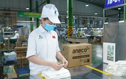 Doanh nghiệp Việt sẵn sàng gia nhập chuỗi cung ứng nguyên liệu xanh toàn cầu