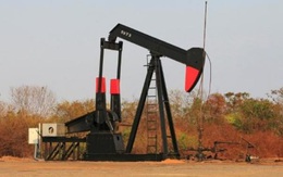 OPEC + hạ dự báo về tăng trưởng nhu cầu dầu mỏ