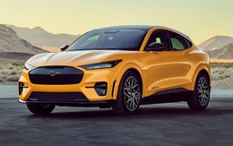 Vừa nổi lên thách thức Tesla, xe điện Ford Mustang Mach-E đã mắc lỗi "ngủ quên" khó hiểu