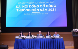 ĐHCĐ Tập đoàn FLC: Đặt mục tiêu lãi gấp 3 lần 2020, đưa Bamboo Airways lên sàn với giá 60 nghìn đồng/cổ vào quý 2/2021
