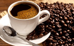 Sự thật về cà phê chồn đắt như vàng: Ly cà phê "bịp bợm" đạp trên số phận đau thương của những chú cầy hương