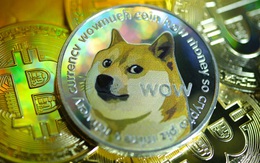 Đồng tiền số mang biểu tượng con chó: Bắt đầu như một trò đùa, giờ đây vốn hóa đạt 40 tỷ USD, nằm trong top 10
