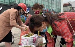 Giải cứu mận cơm ở Lạng Sơn