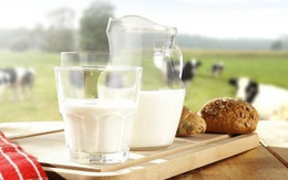 Uống sữa vào thời điểm nào sẽ giúp cơ thể hấp thụ đủ, không lãng phí chất dinh dưỡng? Câu trả lời hoàn toàn khác với suy nghĩ của mọi người từ trước tới nay